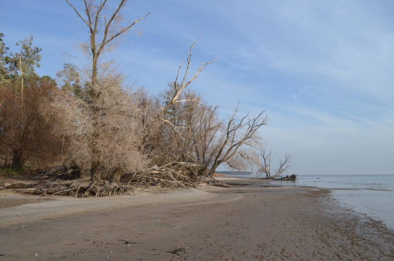 DSC_9576.JPG