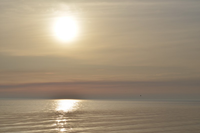 DSC_9577.JPG