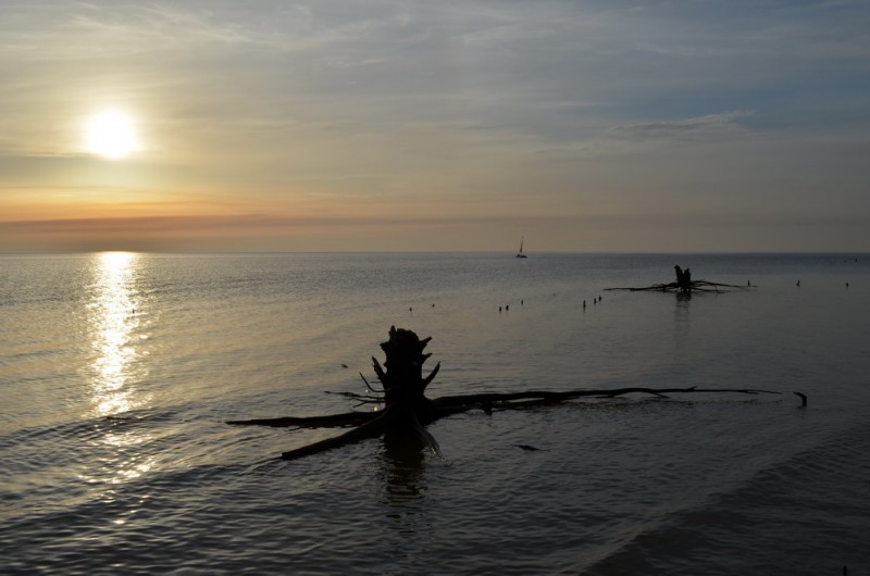 DSC_9600.JPG