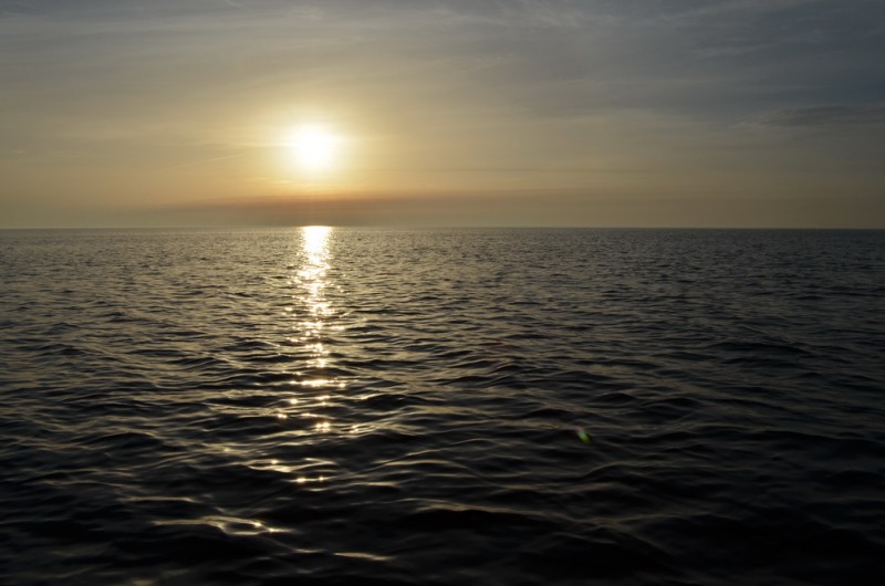 DSC_9604.JPG