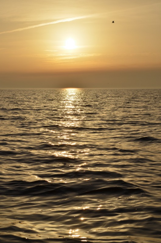 DSC_9607.JPG