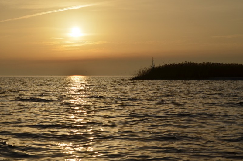 DSC_9608.JPG