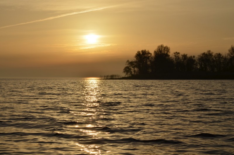 DSC_9613.JPG