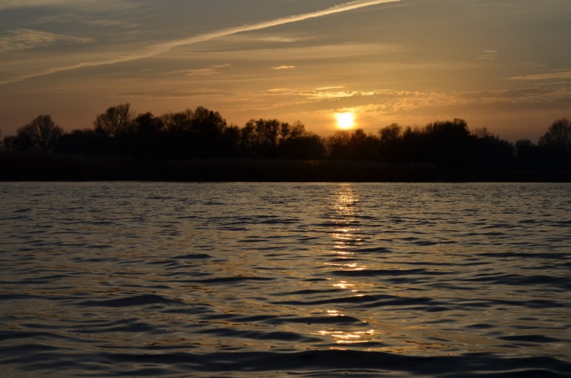 DSC_9619.JPG