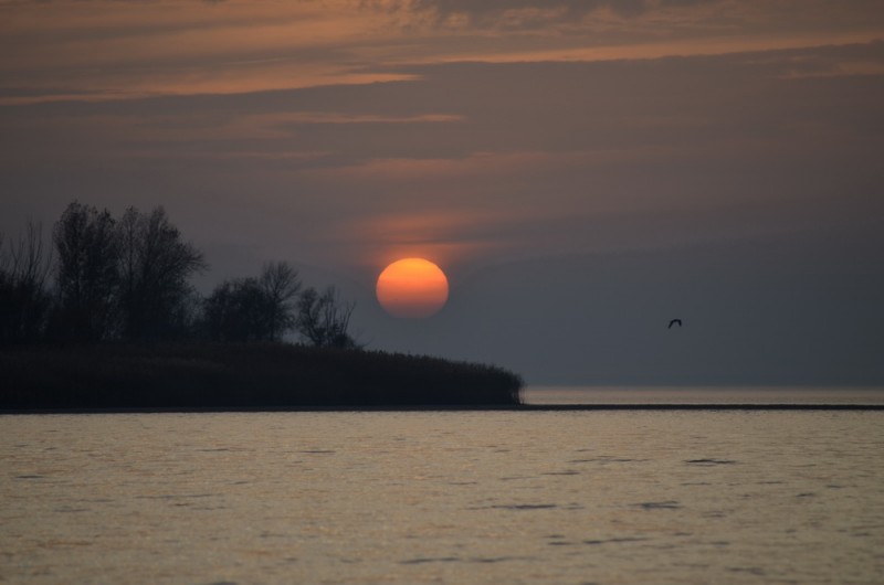 DSC_9638.JPG