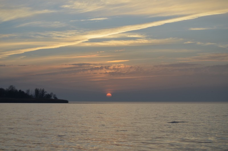 DSC_9643.JPG