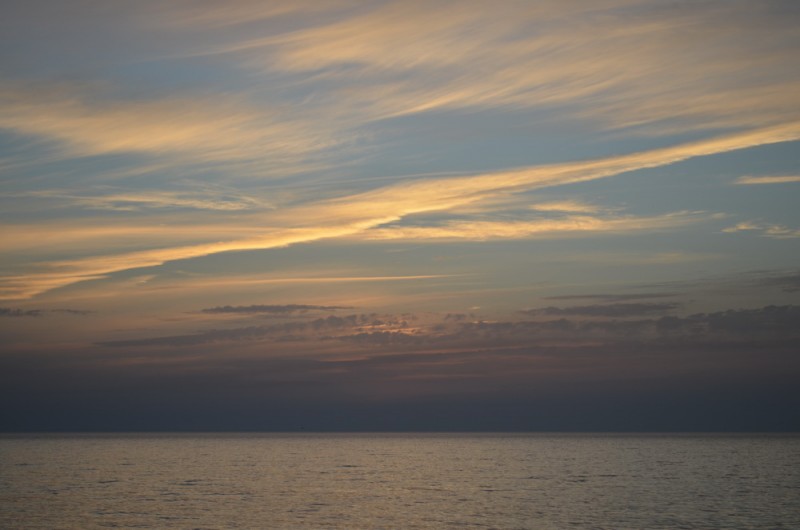 DSC_9658.JPG